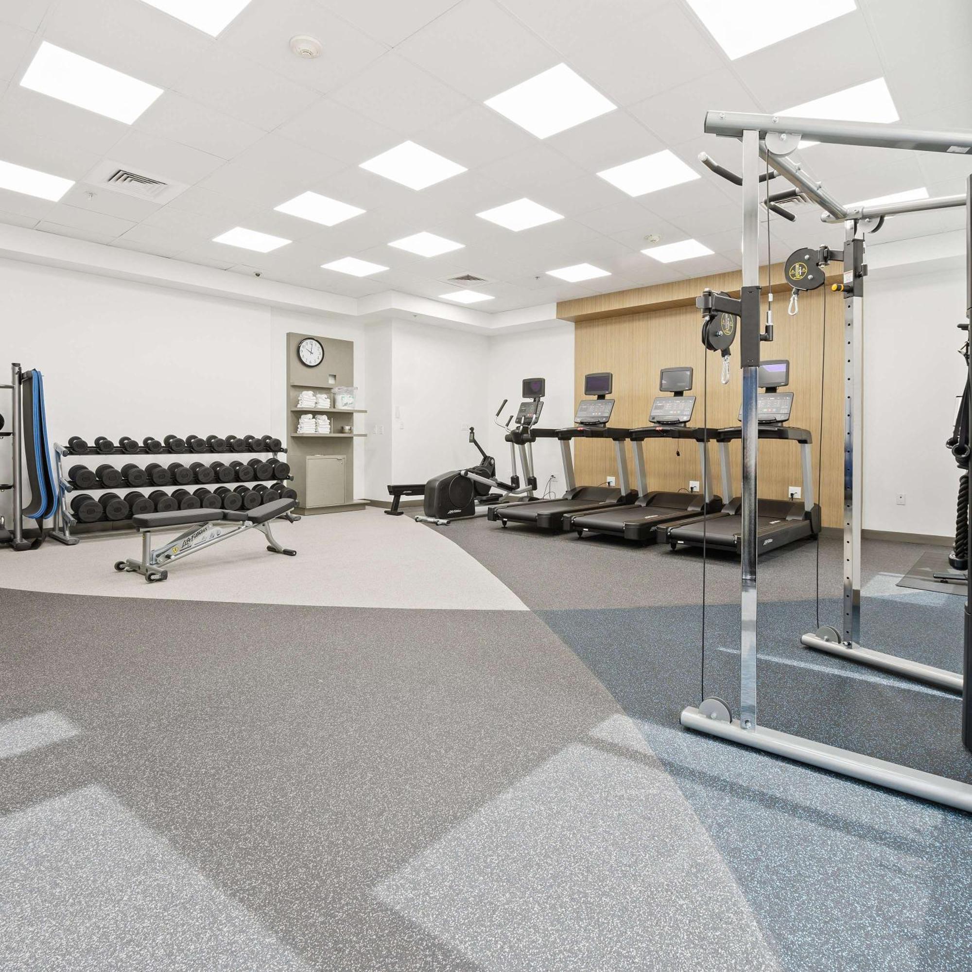 דניה ביץ' Hilton Garden Inn Ft. Lauderdale Airport-Cruise Port מראה חיצוני תמונה